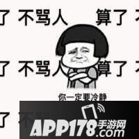 王者荣耀好队友