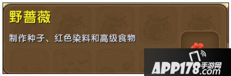 迷你世界