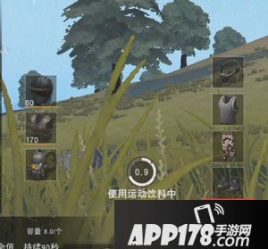 荒野行动吉利服