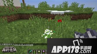 我的世界植物妙用 我的世界植物指南