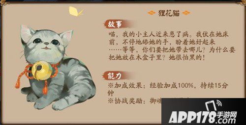阴阳师狸花猫怎么样 狸花猫获得<a href=http://www.app178.com/gonglue/ target=_blank class=infotextkey>攻略</a>