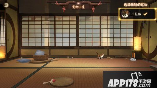 阴阳师宠物后院怎么玩 宠物后院玩法详解