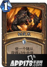 炉石传说树皮术卡牌图鉴