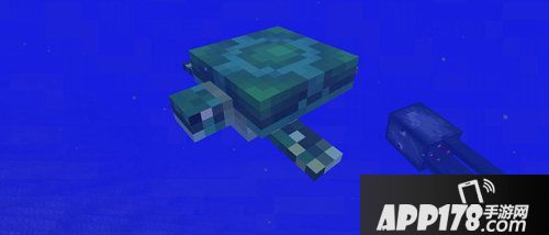 我的世界海龟即将加入 新生物海龟已确定