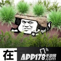 绝地求生刺激战场名词解释 绝地求生刺激战场有哪些名词