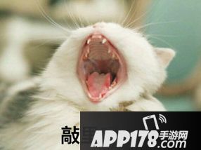 敲里吗是什么意思 敲里吗表情包分享1