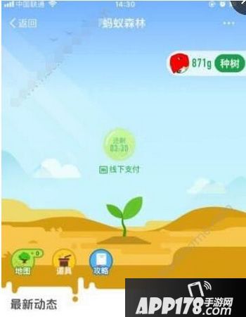 支付宝合种树怎么改名字 支付宝合种树名字可以改吗1