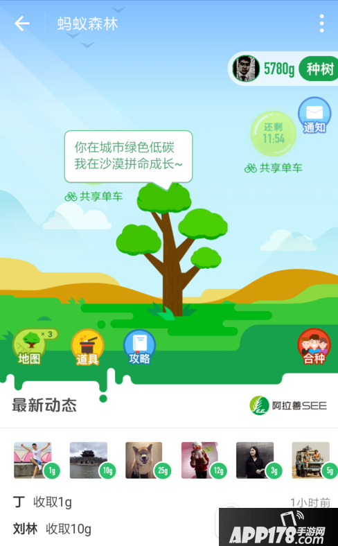 蚂蚁森林怎么合种树 支付宝蚂蚁森林合种主题树操作方法1