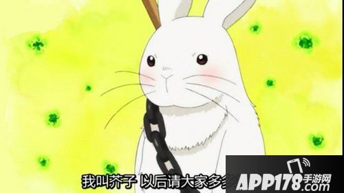 阴阳师芥子阵容怎么搭配 阴阳师芥子阵容推荐