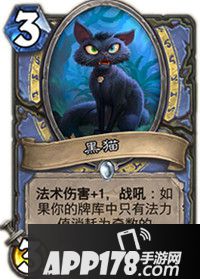 炉石传说黑猫卡牌图鉴