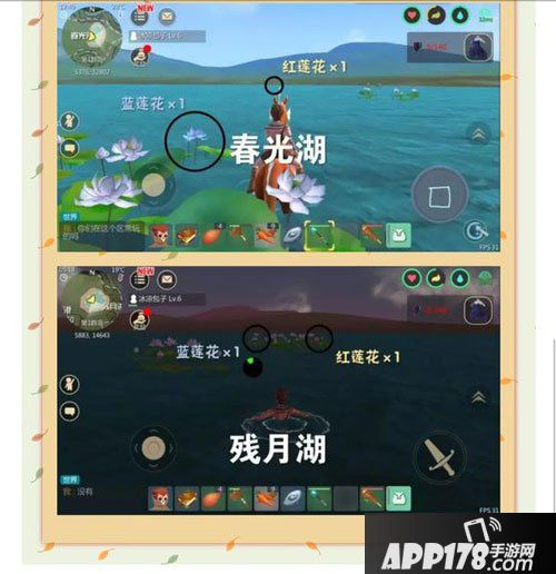 创造与魔法莲花获取方法详解 红蓝莲花怎么得到