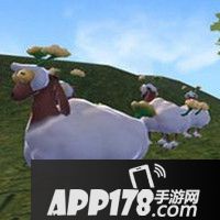 创造与魔法绵羊怎么样 创造与魔法绵羊属性图鉴