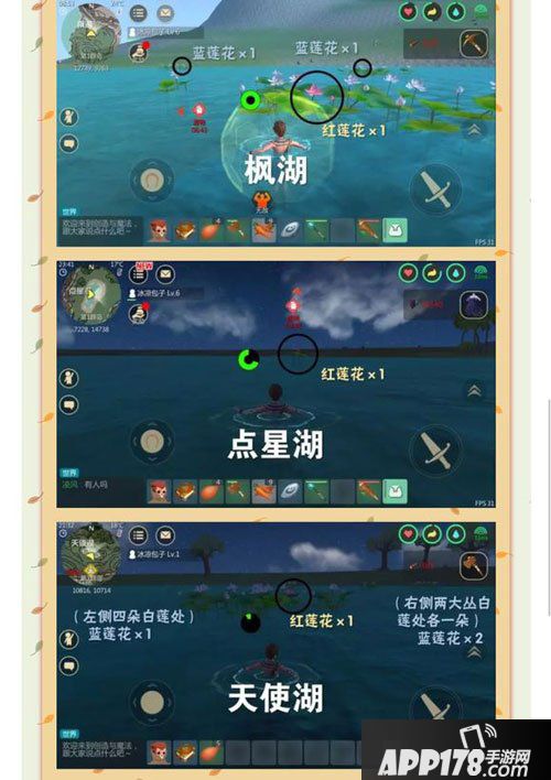 创造与魔法莲花获取方法详解 红蓝莲花怎么得到