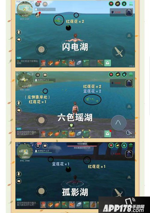 创造与魔法莲花获取方法详解 红蓝莲花怎么得到