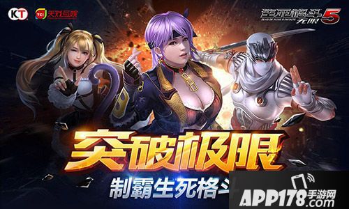 生死格斗5无限简介