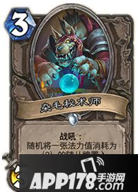 炉石传说杂毛秘术师属性卡牌图鉴