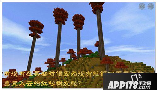 迷你世界怎么采集红衫木 迷你世界采集红衫木技巧