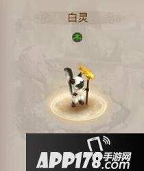 问道手游白灵属性图鉴 白灵资料解析