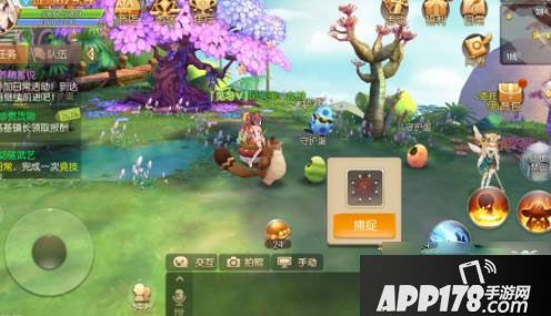 风之大陆捕捉宝宝 