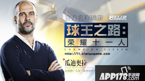 荣耀十一人简介