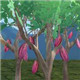 创造与魔法可可豆介绍 可可豆属性图鉴