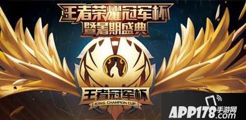 王者荣耀冠军杯皮肤多少钱 MVP定制皮肤价格详解