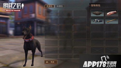 明日之后宠物狗系统玩法来袭 一人一狗一起活下去