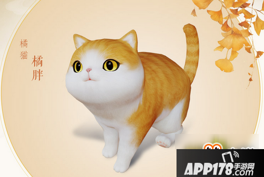 《剑网3》猫咪挂宠大橘猫橘胖介绍