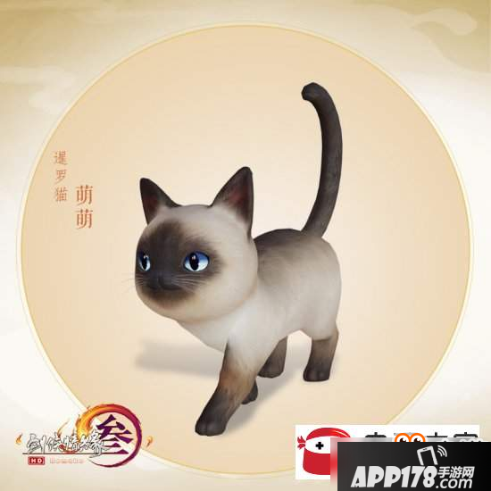 剑网3猫咪挂宠好看吗？猫咪挂宠外观详解