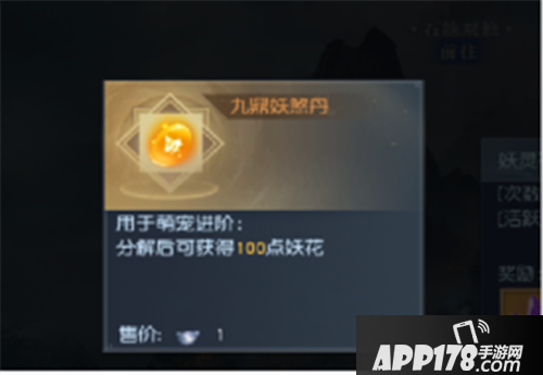 武动乾坤手游宠物怎么升级进阶