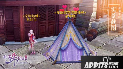 诛仙手游宠爱一夏今日上线