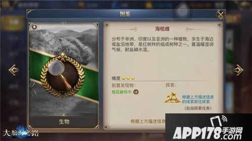 大航海之路航海家必须打卡的各大景点