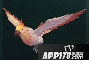 创造与魔法云斑鹦鸟怎么样 创造与魔法云斑鹦鸟属性图鉴