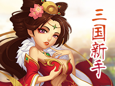 三国大亨新手
