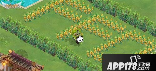 自由幻想天神领域活动曝光