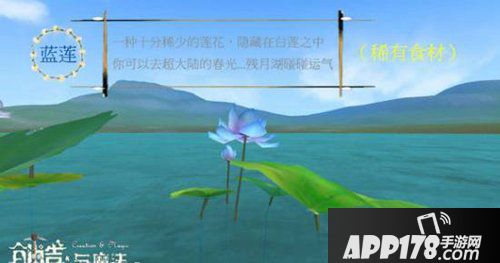 创造与魔法蓝莲是什么
