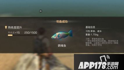明日之后钓鱼冠军称号怎么获得 钓鱼冠军称号获得攻略