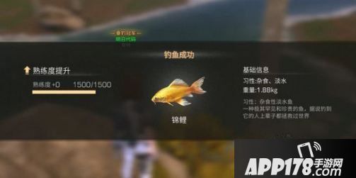 明日之后锦鲤在哪里钓