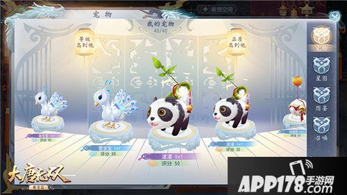 大唐无双萌宠百搭激爽边境玩法