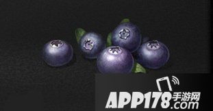 明日之后蓝莓获得<a href=http://www.app178.com/gonglue/ target=_blank class=infotextkey>攻略</a>