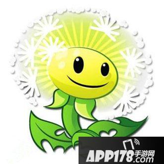 植物大战僵尸2十二月签到植物 蒲公英和棉花装扮