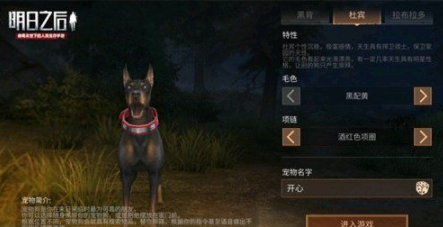 明日之后宠物背包怎么提升?大家一定要了解