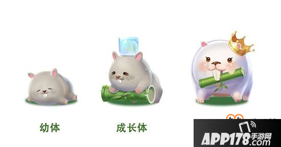 《QQ飞车手游》宠物小竹鼠获得方法 宠物羁绊能力介绍