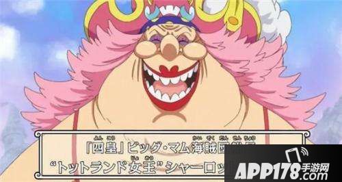 航海王启航四周年庆典来临