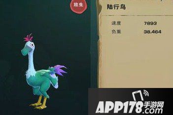 创造与魔法青色陆行鸟图鉴