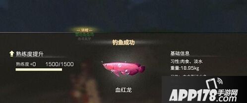 明日之后血红龙怎么钓