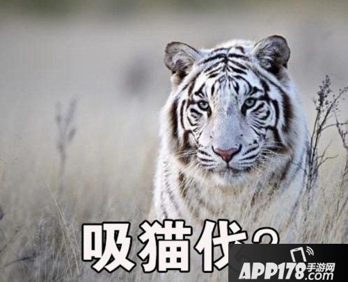 火王手游洪荒巨兽排行