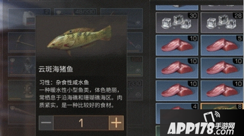 明日之后云斑海猪鱼获取方法
