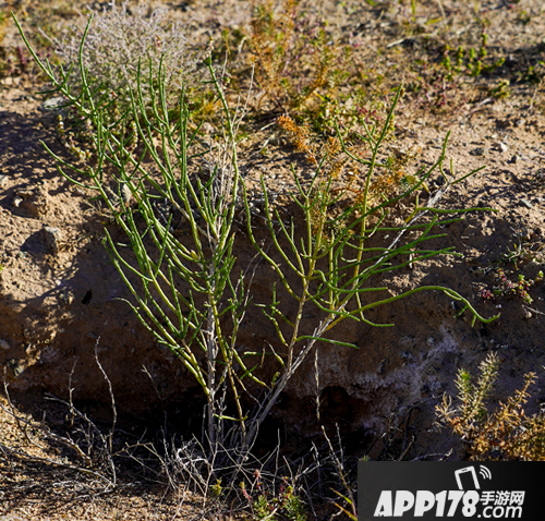 迷你世界三周年来袭 周年庆活动即将开启