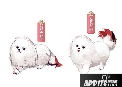 阴阳师小动物公益活动将启